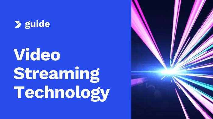 Fast Channels - The Definitive Guide for Broadcasters Fast Channels - The Definitive Guide for Broadcasters